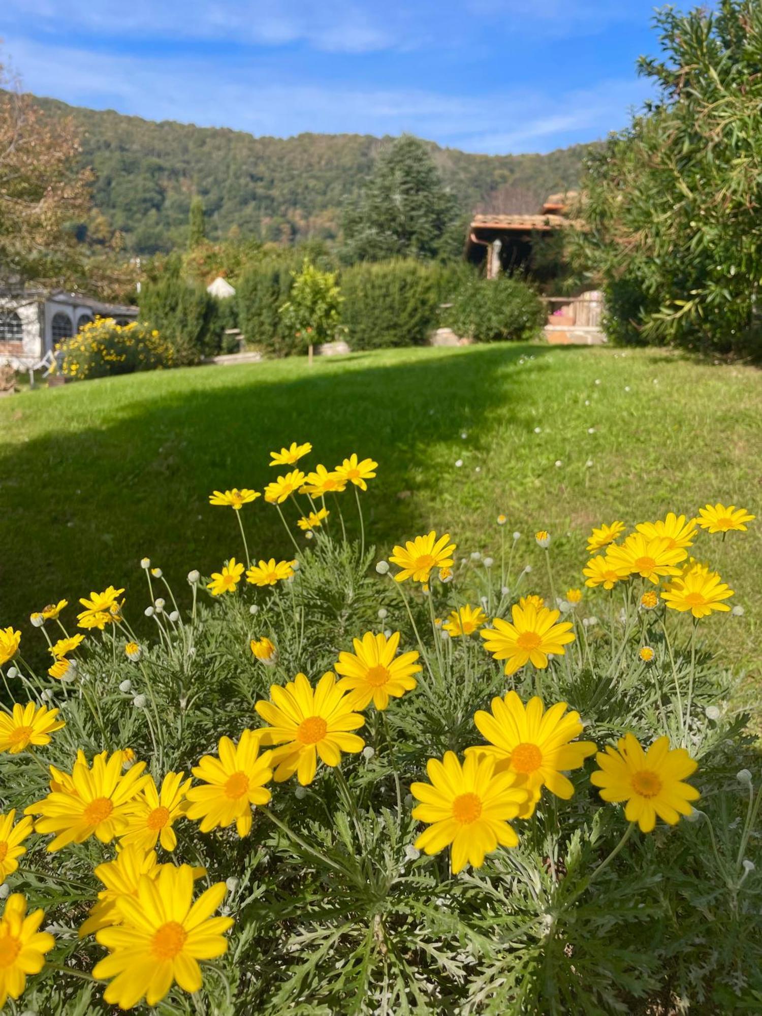 Agriturismo Le Grotte 네미 외부 사진